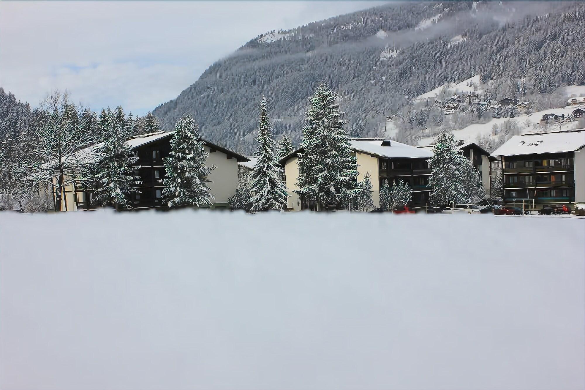 Appartementanlage Thermenblick Ski In & Ski Out バド クラインキルヒハイム エクステリア 写真