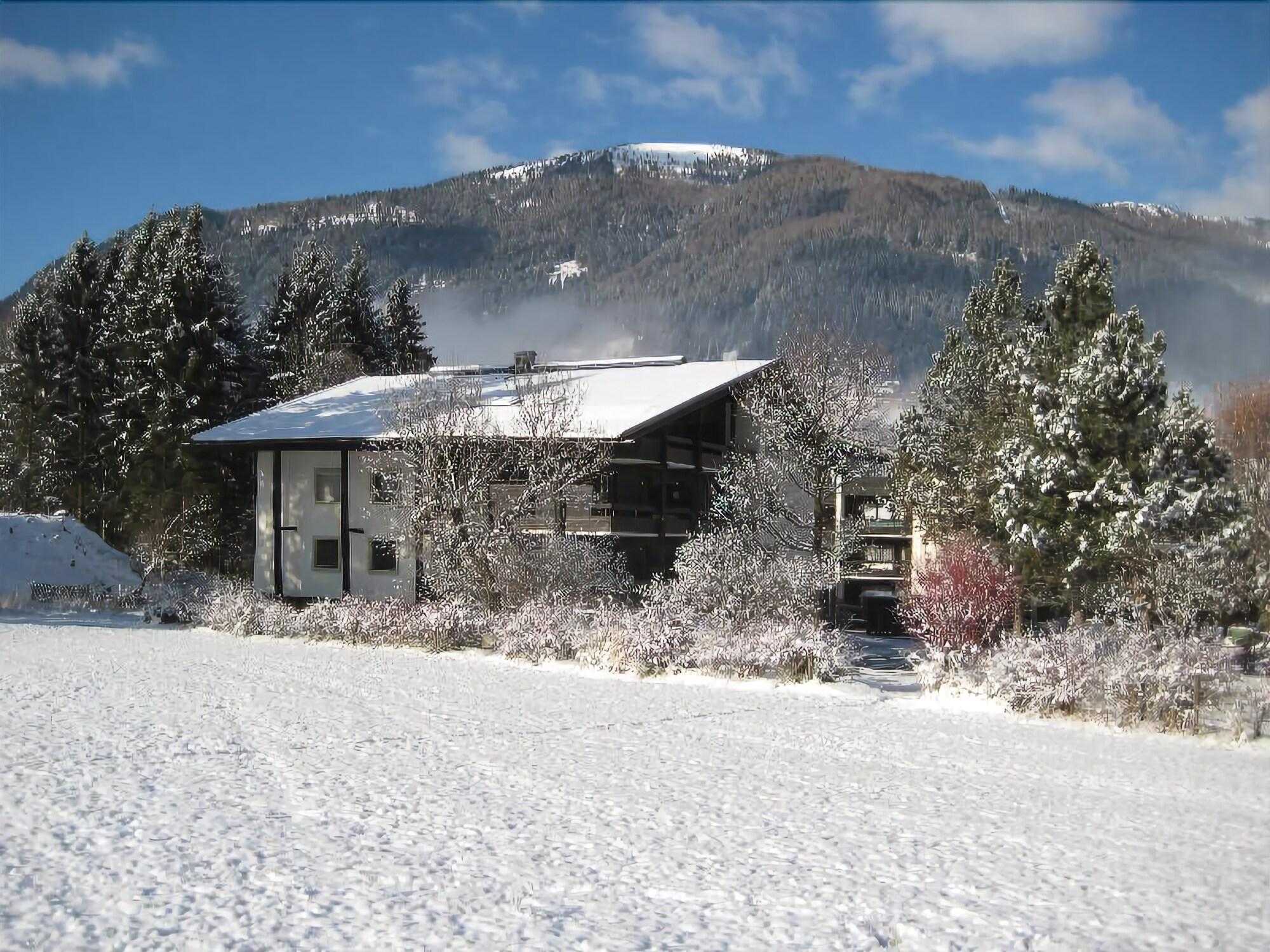Appartementanlage Thermenblick Ski In & Ski Out バド クラインキルヒハイム エクステリア 写真